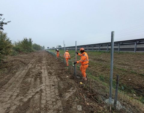 Recinzioni, Protezioni e Staccionate in Acciaio o Corten