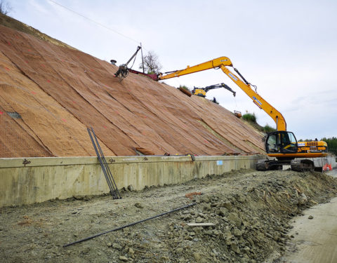 Rafforzamento Corticale con Barre Autoperforanti