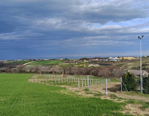 Campi Fotovoltaici