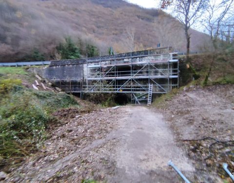 Risanamenti Strutturali